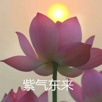 果盘网页三国正式版下载